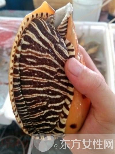 油螺的做法大公開(kāi) 揭油螺的7大營(yíng)養(yǎng)價(jià)值