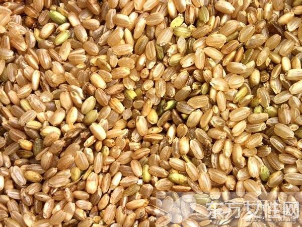 糙米可以減肥嗎 糙米瘦身4大黃金法則