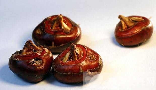 清肺的食物有哪些 這些清肺食譜醫(yī)生都說(shuō)好哦