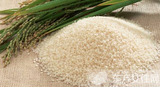 粳米的功效與作用及食用方法 這些吃法你試過嗎