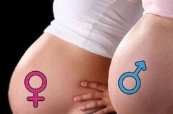 生男生女特征大公開 科學(xué)辨別寶寶性別