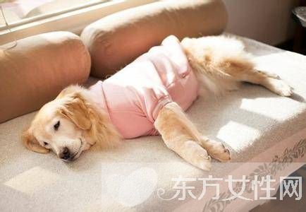 冬季取暖安全常識 這些注意事項(xiàng)要謹(jǐn)記