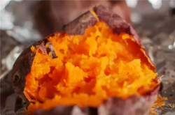 烤紅薯會致癌嗎 揭烤紅薯的四大食用禁忌