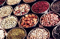 豆類食品的營(yíng)養(yǎng)價(jià)值有哪些 豆類切忌與這些食物同食