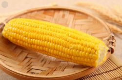 如何挑選玉米 揭日常食用玉米的養(yǎng)生小貼士