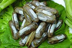 記性不好吃什么 多吃幾種食物助于提高記憶力