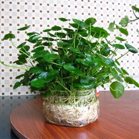 4大生活健康小貼士 讓你的生活趕跑疾病