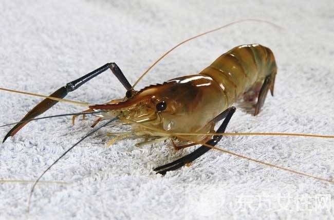 河蝦怎么洗 河蝦這么做色香味俱全