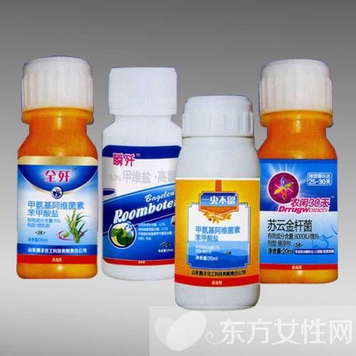 家庭滅蟲法你知多少 防蚊總動員大家一起來