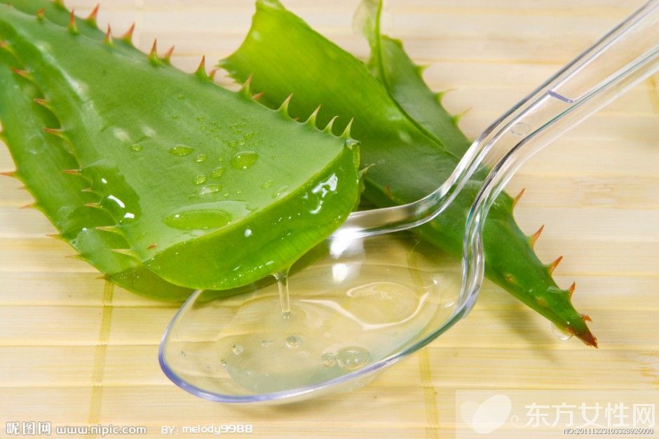 蘆薈怎么美容 教你使用新鮮蘆薈的美容方法