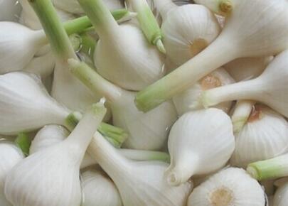 蒜頭的腌制方法有哪些 如何腌制才會(huì)更好吃