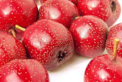 吃山楂要注意什么 山楂的功效與作用