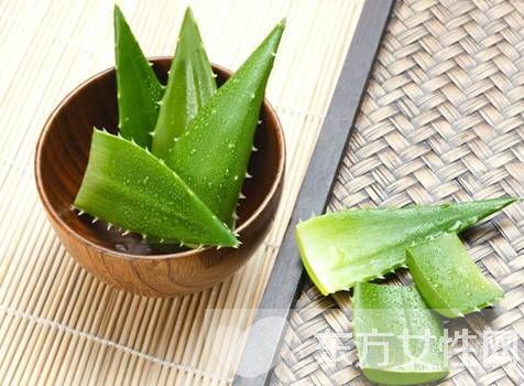 蘆薈怎么美容 教你使用新鮮蘆薈的美容方法