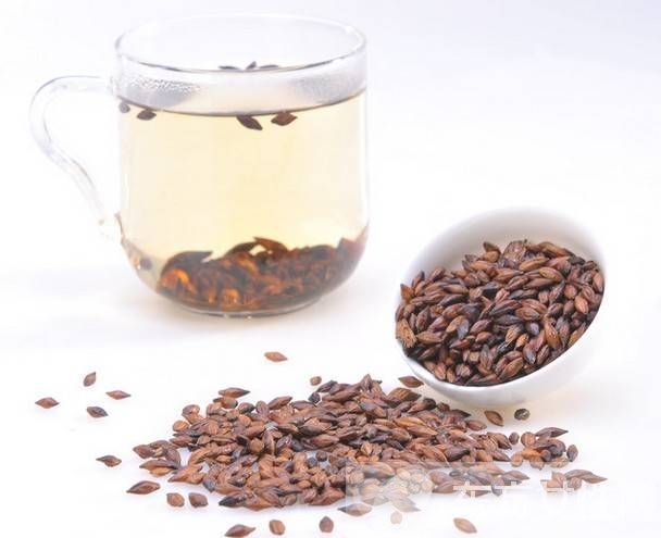 大麥茶的功效與禁忌有哪些 6大禁忌需注意