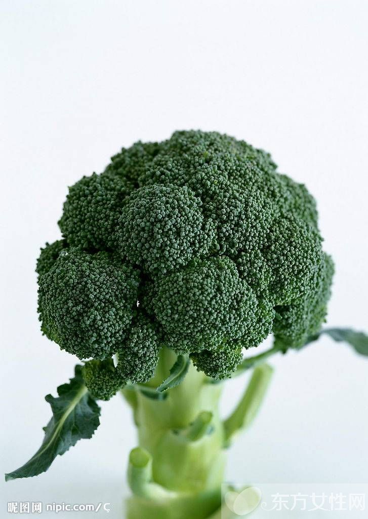 西蘭花的營(yíng)養(yǎng)價(jià)值 西蘭花的4種食用方法
