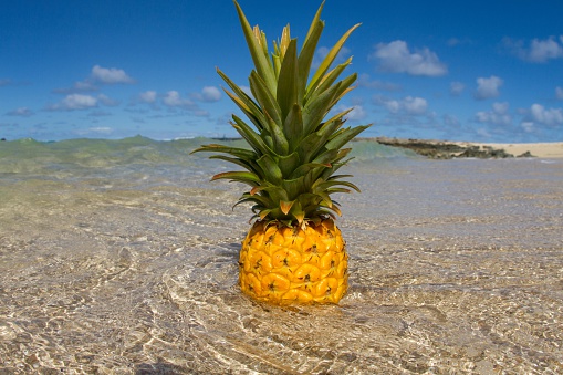 吃菠蘿上火嗎 菠蘿營養(yǎng)價(jià)值大解密