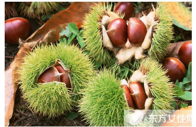 孕婦能吃板栗嗎 孕婦吃板栗的八大好處