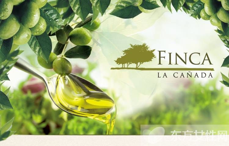 橄欖油的作用及功效 上好的橄欖油要怎么挑選