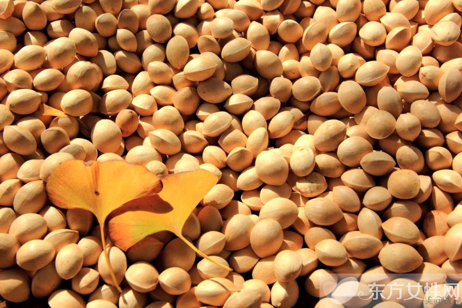 白果的功效與副作用 吃白果前一定要了解這些