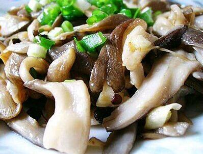 平菇怎么做好吃 平菇的家常做法大公開