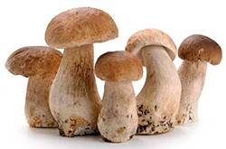 草菇的營養(yǎng)價值有哪些 推薦草菇的兩大食療法