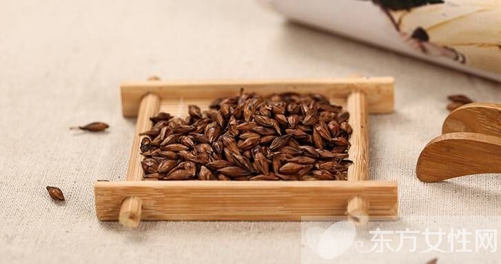 大麥茶的功效與禁忌有哪些 6大禁忌需注意