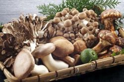 什么是粗纖維食物 粗纖維的食用禁忌你了解嗎