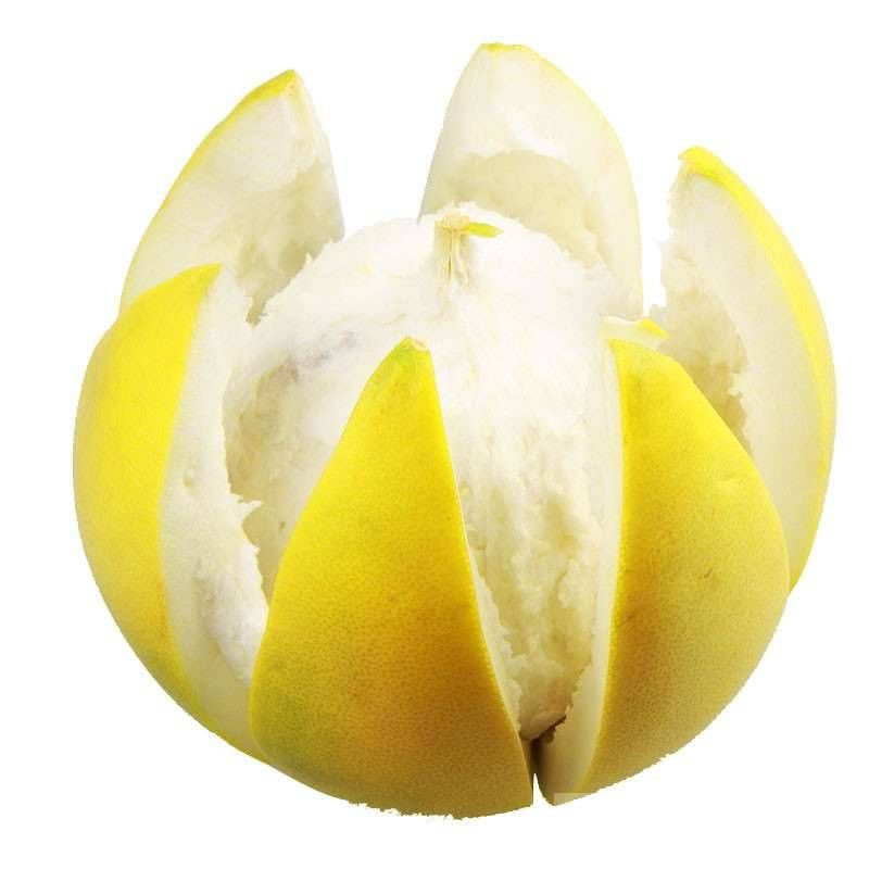 柚子在什么季節(jié)成熟 柚子與藥品同食后果太嚇人