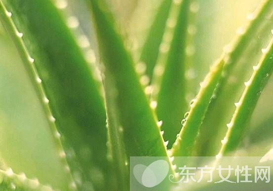 紅霉素軟膏祛痘效果好嗎 日常祛痘小妙招推薦