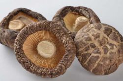 冬菇的營(yíng)養(yǎng)價(jià)值介紹 美味冬菇肉餅的家常做法推薦