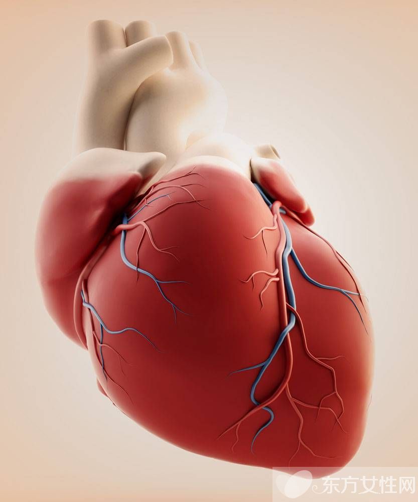 心肌供血不足的表現(xiàn)與危害 這些飲食禁忌需牢記