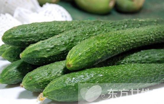 一根黃瓜的熱量是多少 吃黃瓜減肥的禁忌你知道嗎