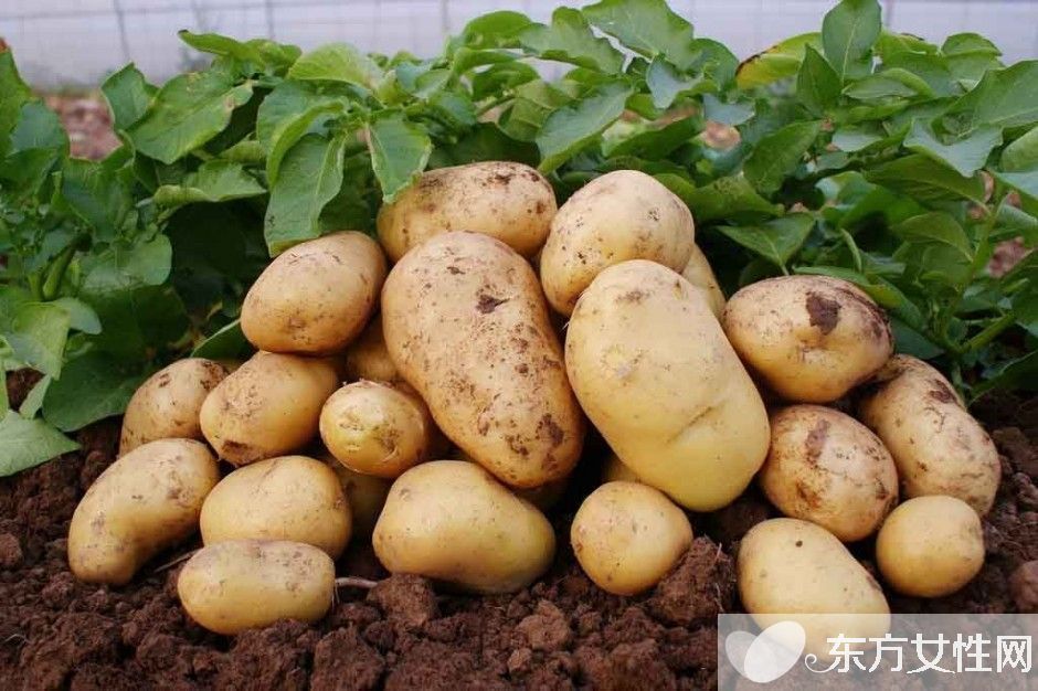 臉部色斑形成的原因 教你在家自制祛斑面膜