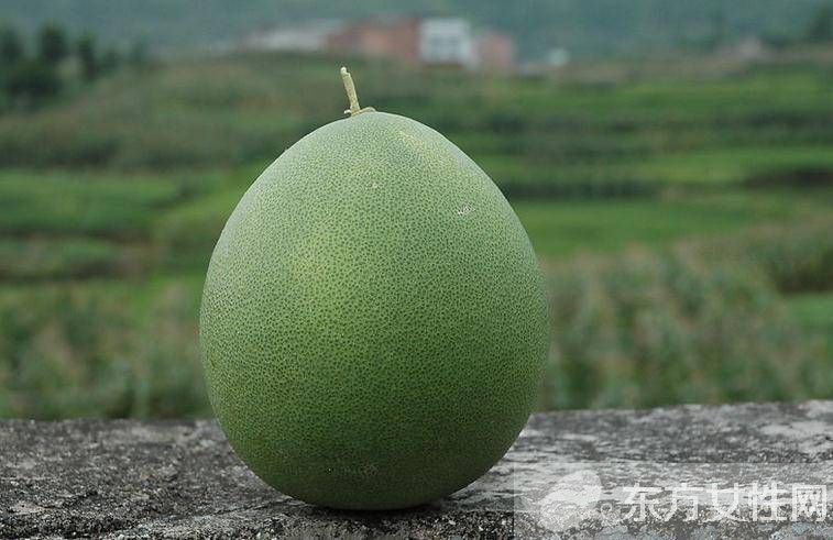 柚子在什么季節(jié)成熟 柚子與藥品同食后果太嚇人