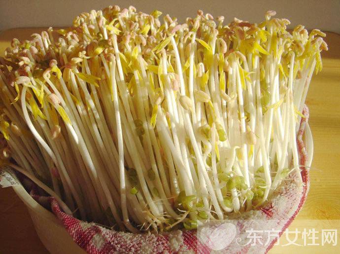 除濕的食物有哪些 這些食物居然勝過靈丹妙藥