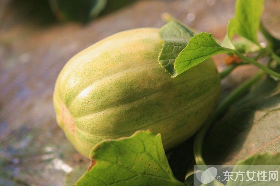 夏季飲食養(yǎng)生最佳開(kāi)胃食物 夏天不得不吃的水果推薦