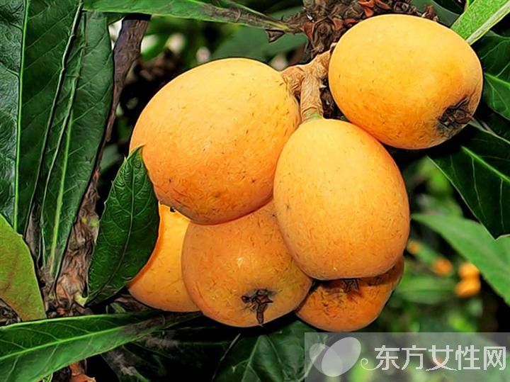 強(qiáng)堿性食物有哪些 怎么分辨食物的酸堿性