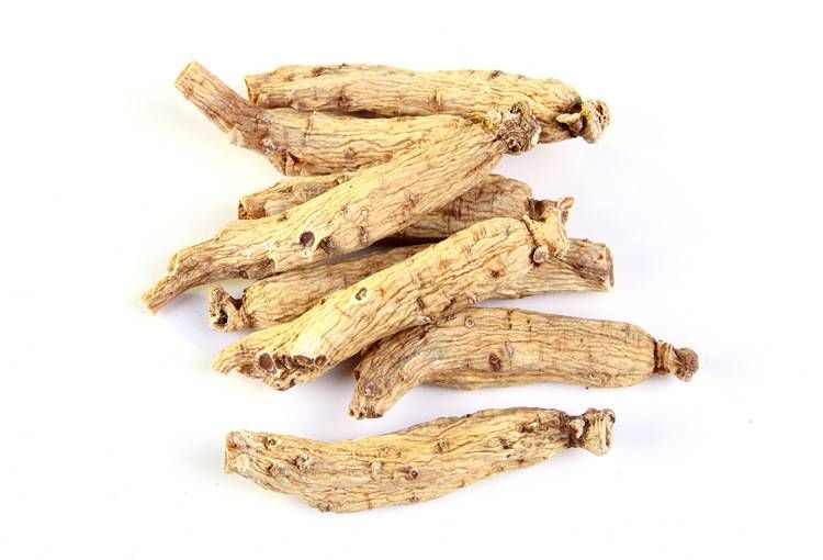 高端蔬菜東洋參 功效與作用以及食用方法推薦