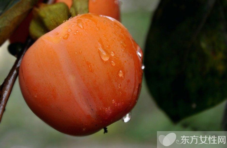 柿餅的功效與作用以及食用方法 柿餅的做法大公開