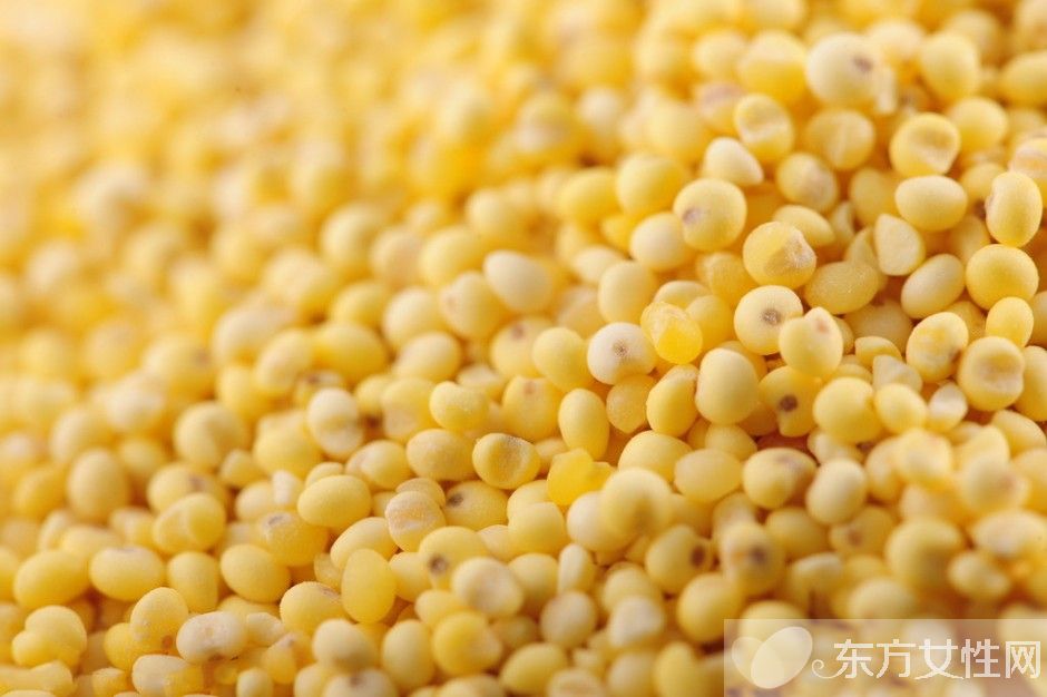粟米是什么米 它的營(yíng)養(yǎng)價(jià)值居然是大米的4倍