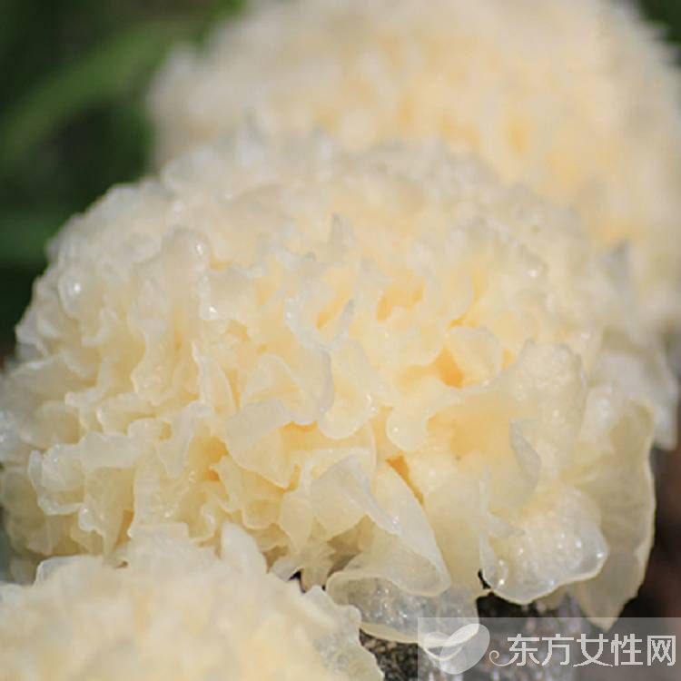 秋季預(yù)防感冒小常識推薦 這些食物就先別吃了