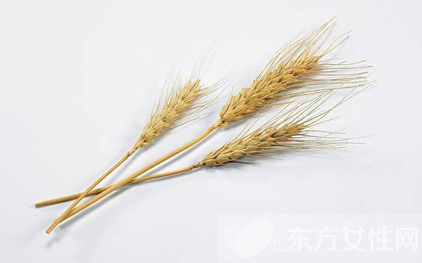 燕麥的功效與作用 常吃燕麥有美白淡斑的效果哦