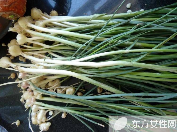 陽(yáng)虛體質(zhì)吃什么好 這些溫補(bǔ)腎陽(yáng)的秘方趕緊收起來(lái)