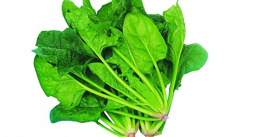 藥品常識(shí) 這些家庭常用藥絕對(duì)不能和食物混著吃