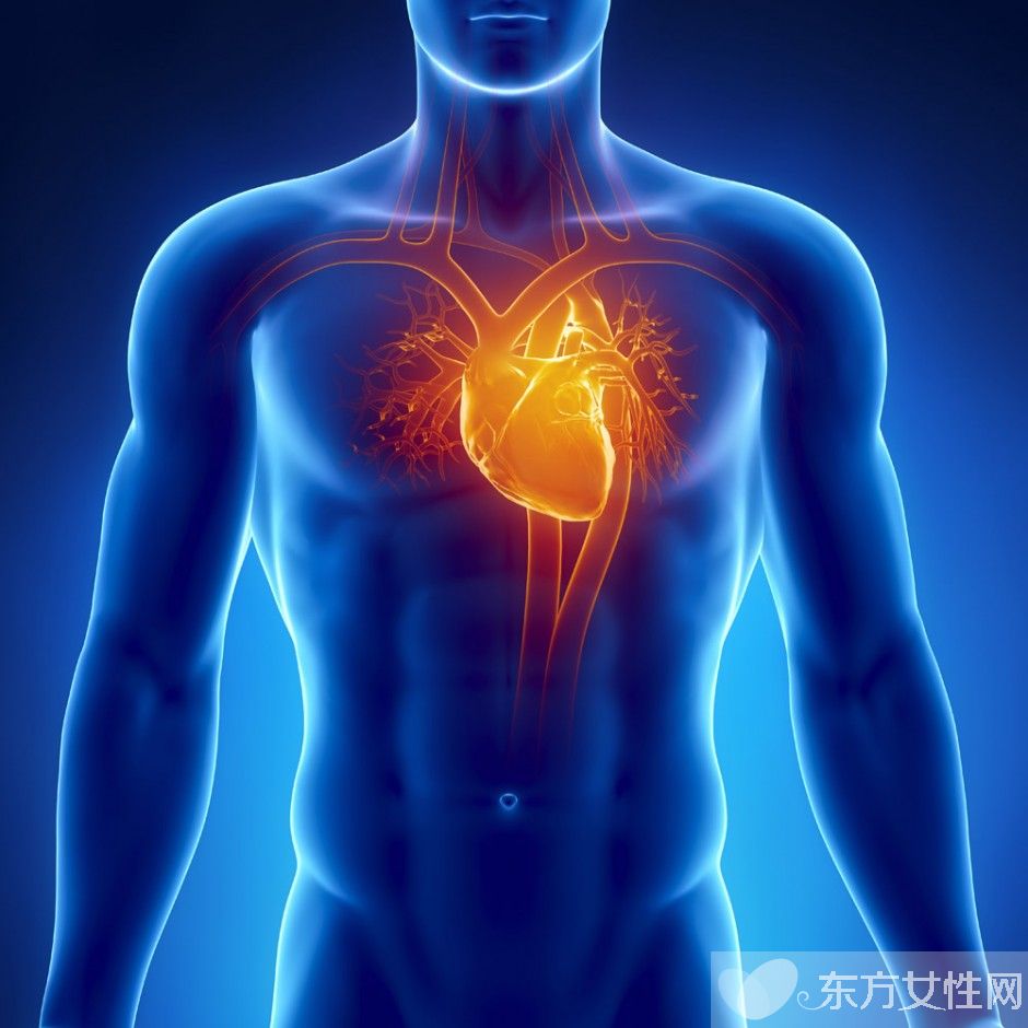 心肌供血不足的表現(xiàn)與危害 這些飲食禁忌需牢記