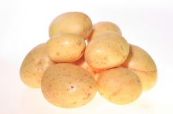 馬鈴薯是土豆嗎 馬鈴薯家常美味做法推薦