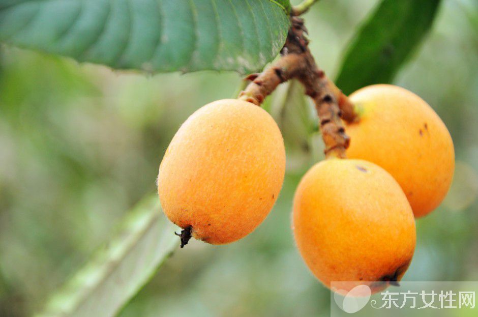 立夏身體健康小常識 這些事情千萬不能做