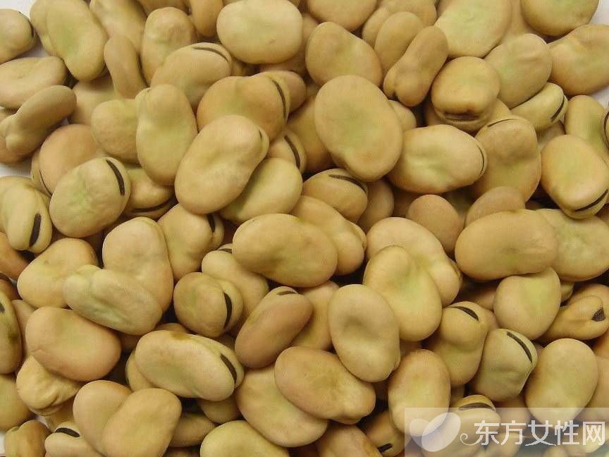 蠶豆的功效與作用及禁忌 蠶豆?fàn)I養(yǎng)美味做法推薦