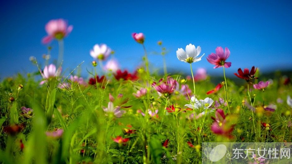 春季養(yǎng)生保健知識 這些 偽健康 食物最好少吃