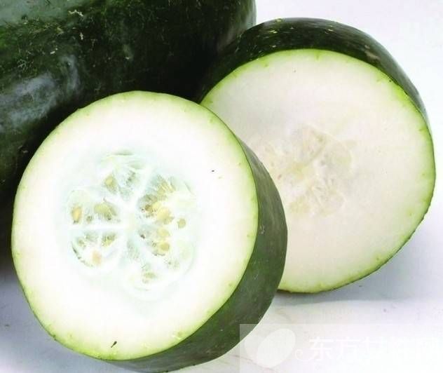 冬瓜汁的功效與作用 喝冬瓜汁居然有這么多好處